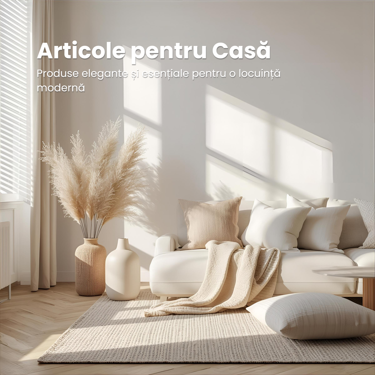 Articole pentru Casă